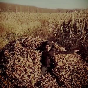 Meet your Posher, Roxane